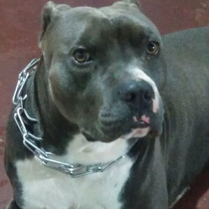 Meet your Posher, Vincent